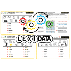 9 fiches LEXIDATA adaptées