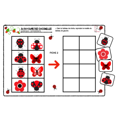 Au royaume des coccinelles