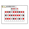 Au royaume des coccinelles