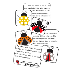 Les maisons des coccinelles